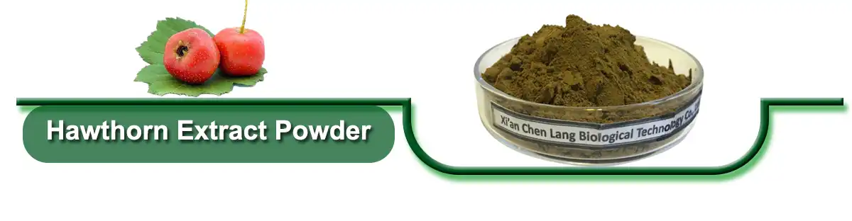 Hawthorn Extract .jpg